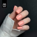 PA2